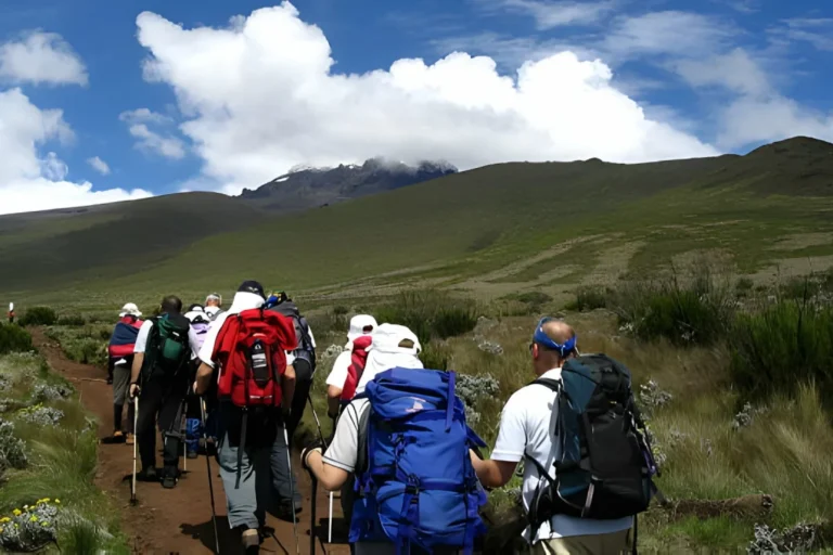 Kilimanjaro-5